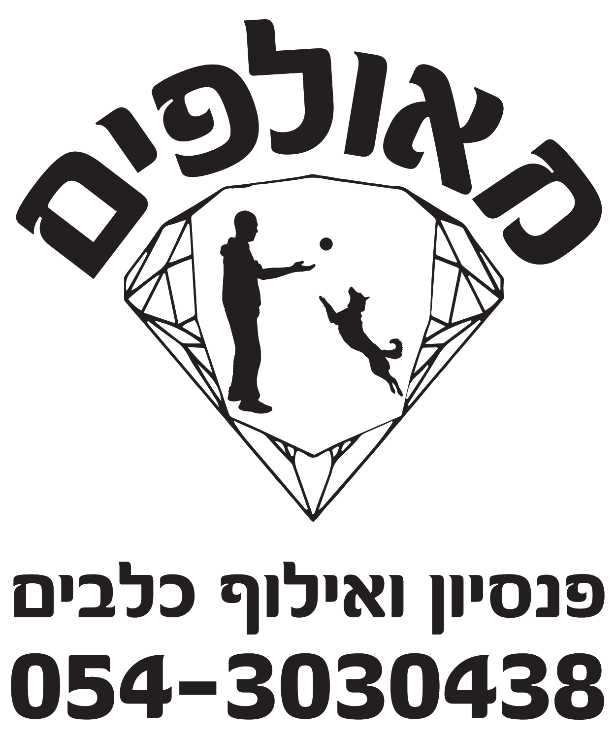 מאולפים — פנסיון ואילוף כלבים